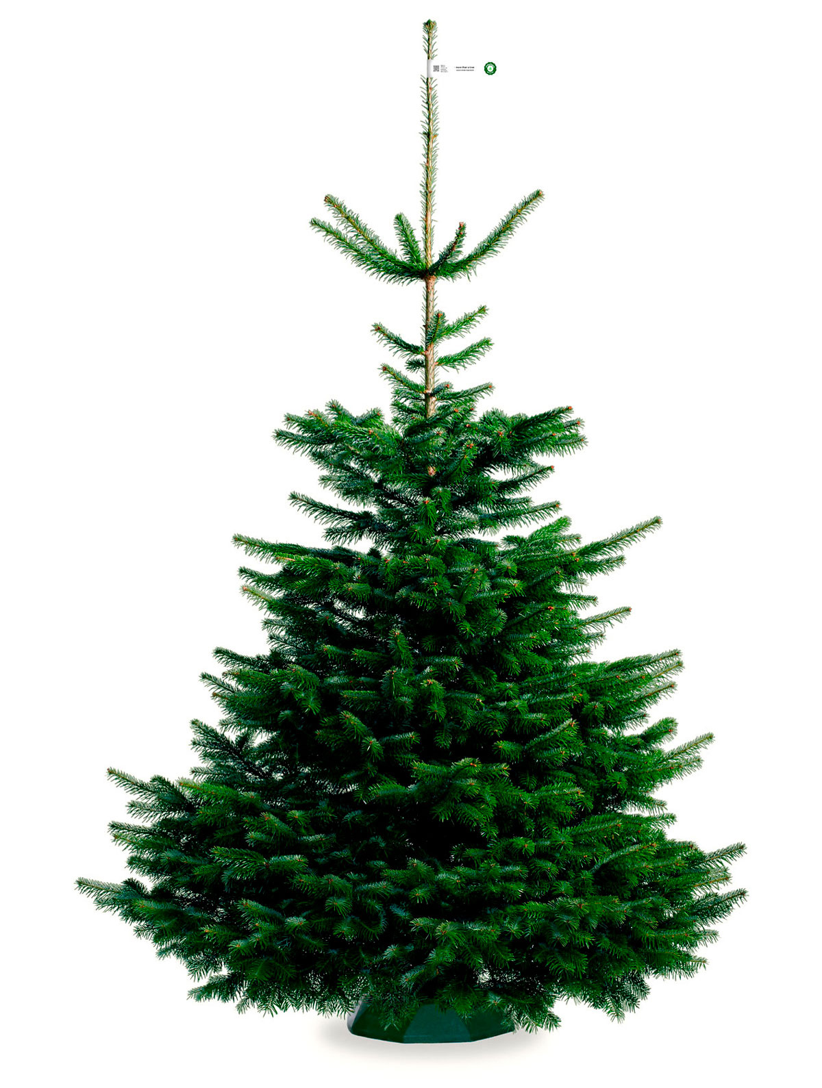 Nordmann_Selected_Classic_White_200-250