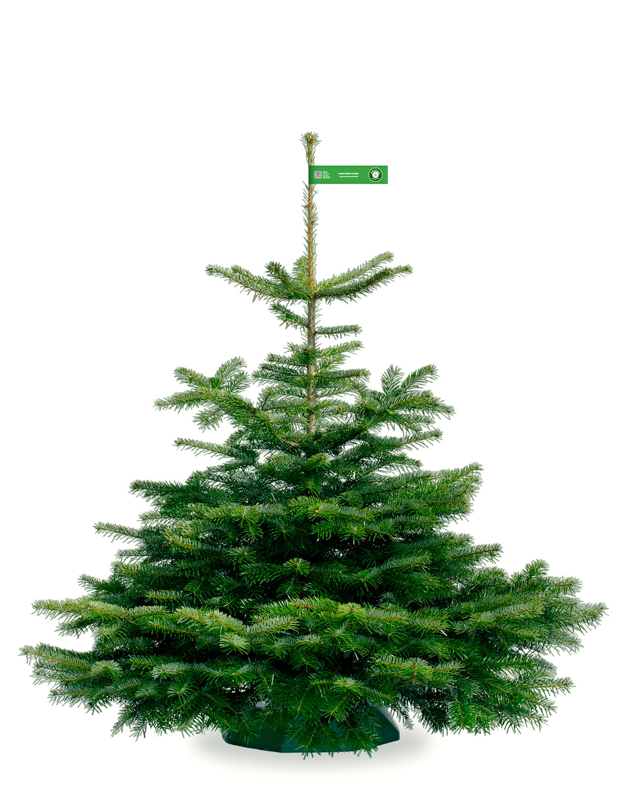 Nordmann_Selected_Excellent_Green_100-125