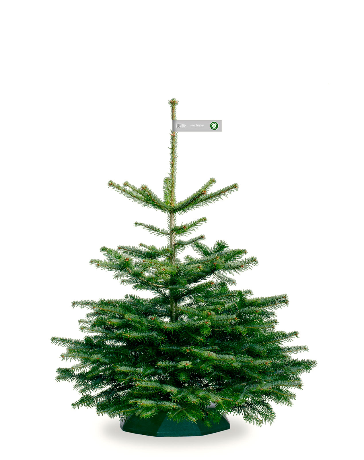 Nordmann_Selected_Excellent_Grey_80-100