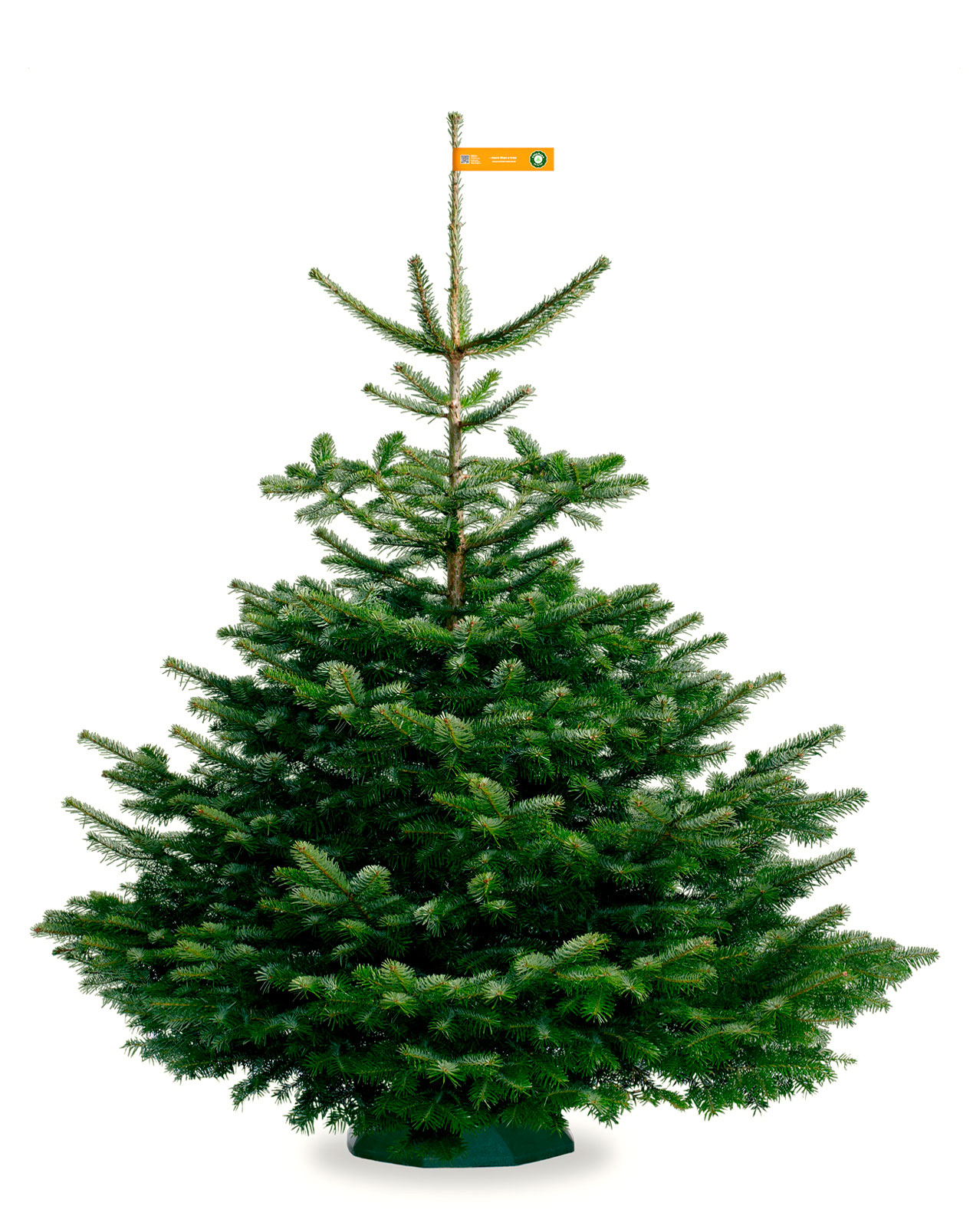 Nordmann_Selected_Excellent_Orange_150-175