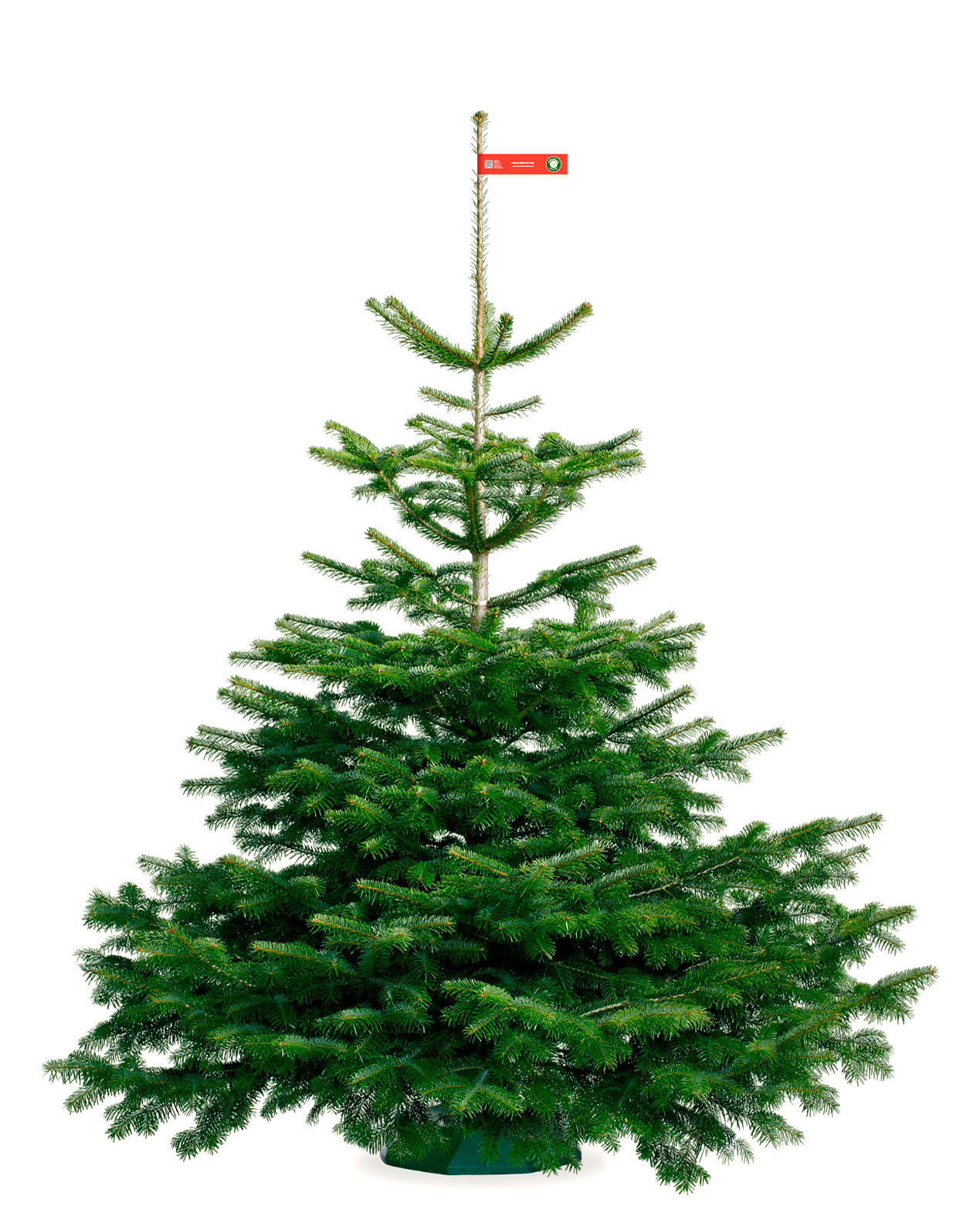 Nordmann_Selected_Excellent_Red_175-200